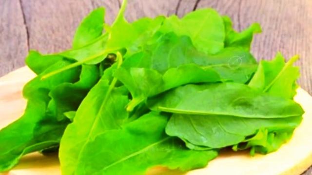 ЩАВЕЛЬ - ПОЛЬЗА И ВРЕД  щавель полезен или вреден щавель свойства щавель для похудения