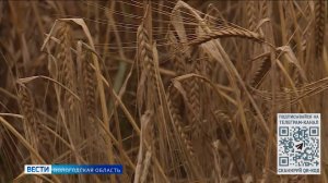 Сельскохозяйственная кампания по сбору урожая продолжается в Вологодской области