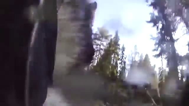 Лайка и волк смотреть онлайн