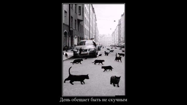 Новая подборка демотиваторов для взрослых июль 2016 выпуск #4 смотреть онлайн