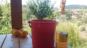 Срочно дайте уксус Огурцам и Томатам в Июле-Августе и будете собирать урожай ведрами до заморозков!