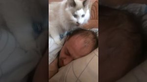 Средство от облысения)))))