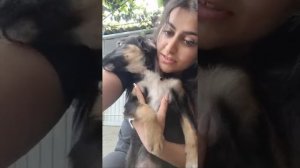 Говорим. Обзор хвостиков ищущих мам и пап.