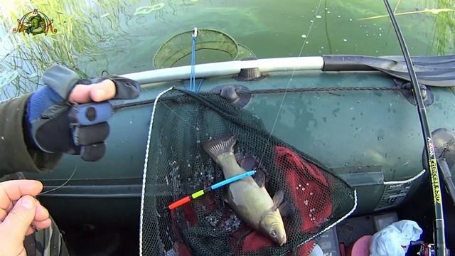 ЛИНЬ - ЖЕЛАННЫЙ ГОСТЬ РЫБОЛОВА ! смотреть онлайн