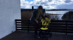 Mountain Buggy Mini review