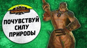 Почувствуй силу природы | Империя vs Лесные Эльфы | Ленды | Total War: WARHAMMER 3