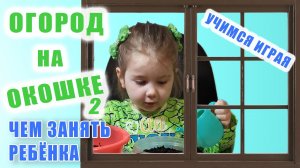 Садим зелень, рассаду на окошке. Ещё успеем!) Чем занять ребёнка. Учимся играя.