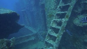 Погружение на Тистлегорм 05.2023. SS Thistlegorm. Египет. Дайвинг.