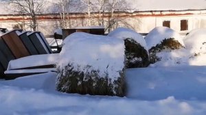 Коневодство с ноля. Зимнее содержание, кормление и поилка.