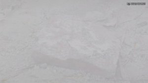 Бокоплав, он же гаммарус, он же мормыш, в аквариуме. Питательный корм или питомец. // Clever Cricke