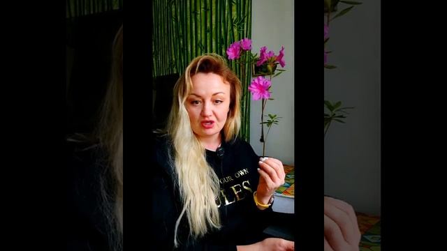 Праздник Пасхи! Смысл! Что такое Пасха! Всех с Праздником!