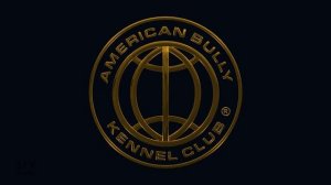 Анимационная заставка перед видео. Intro. Animation Logo.