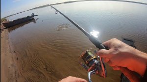 Осенний фидер на мелководных участках реки Северная Двина!