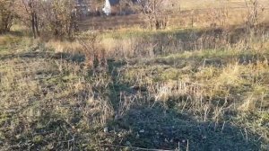 МОЙ ДОМ село Дмитровка