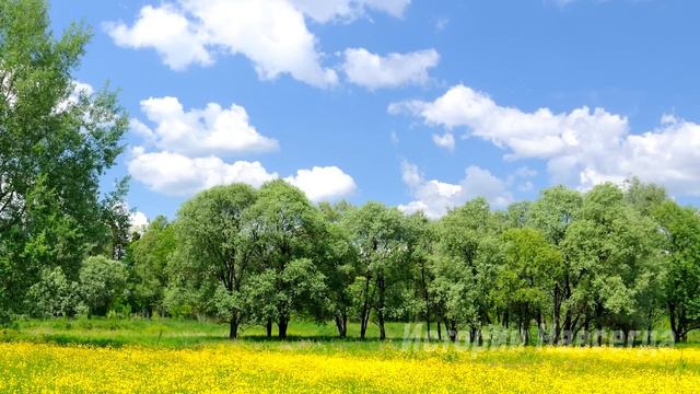 Купив старое пальто Вера спешила домой. А едва столкнувшись с цыганкой