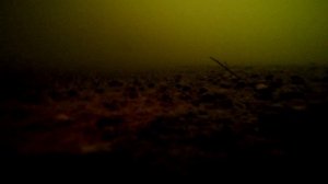 Где рыбачат Рыбаки Разговор с Рыбаками Съемка под водой Остров град Свияжск 2 03 2024