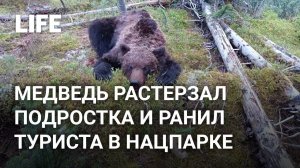 Медведь растерзал подростка и ранил туриста в нацпарке "Ергаки"