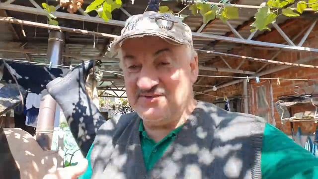 СУП ИЗ ДИКОЙ УТКИ С ГРУЗДЯМИ, ЛУКОМ, КАРТОФЕЛЕМ И ЛАПШОЙ РЕЦЕПТЫ СЮФ смотреть онлайн