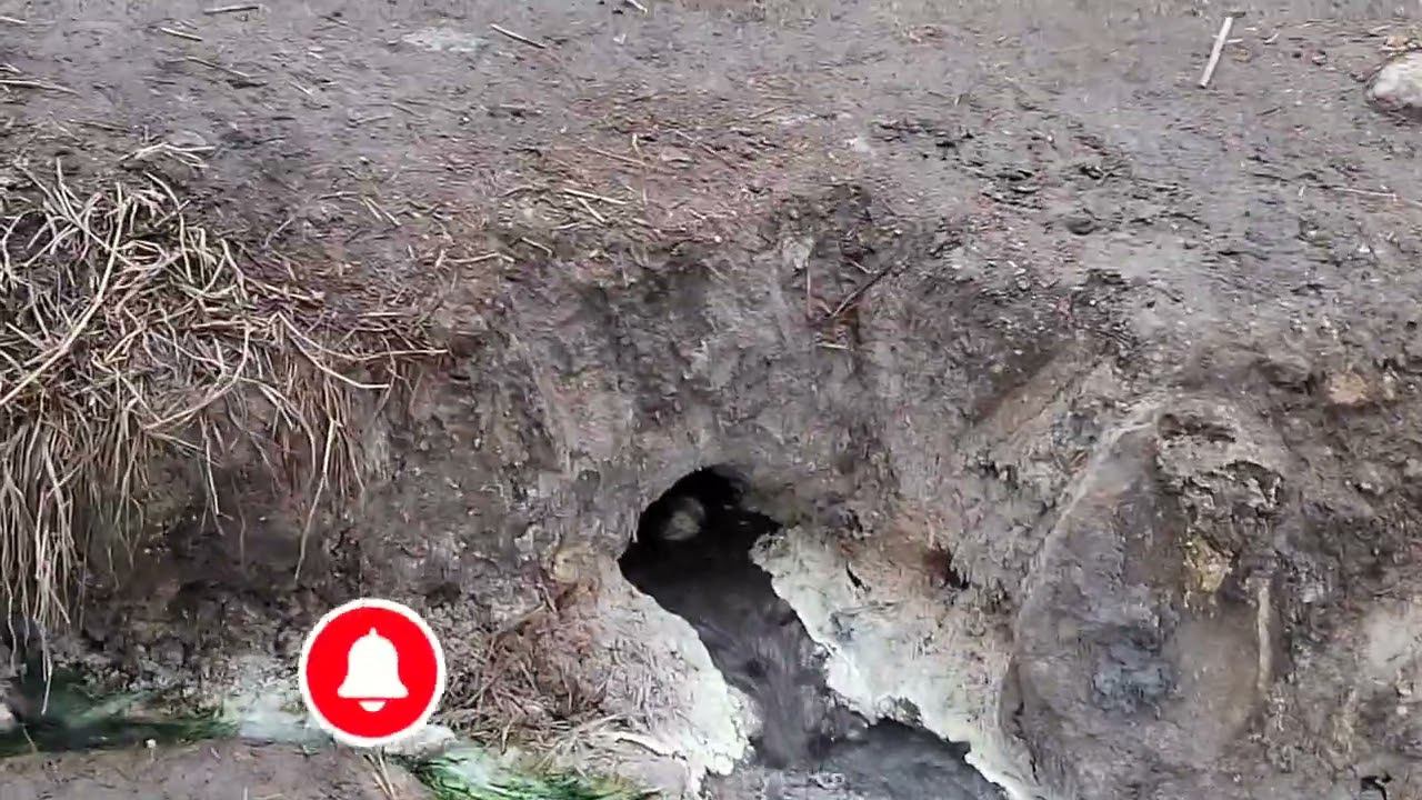 Где искать Бесстыжие ванны в Пятигорске? Март 2023 смотреть онлайн