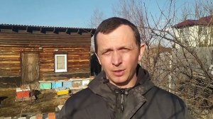 Аргументы пчеловода против бесконтактного(бутылочного) пчеловодства.Часть 3. Пчеловодство с нуля.