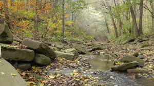 Звуки природы: Осенняя река Афипс 🍁🍂🍂 Расслабляющая музыка для медитации и отдыха.