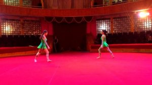 Акробатичсекий дуэт Deva - "Дриады"