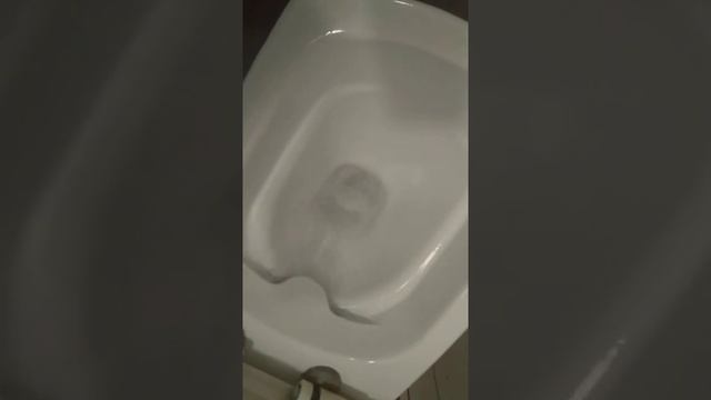 Унитаз-компакт CARINA CLEAN ON - смыв и омывание при нажатии кнопки смыва "Экономный режим" смотреть онлайн