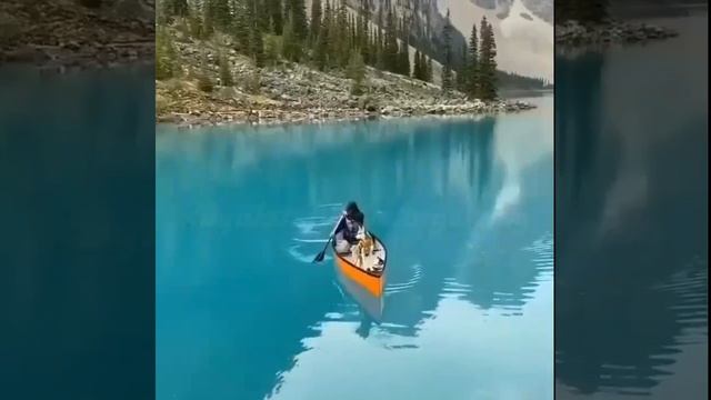 CANADA RIVER BANK смотреть онлайн