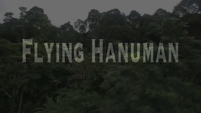 Flying Hanuman. Phuket /Полет гиббона. Пхукет / Пегас Туристик смотреть онлайн