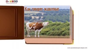 Видео с животными для ребёнка от года. Все обучающие карточки