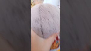 Басик играет в футбол сыпухликом 🥰🤣