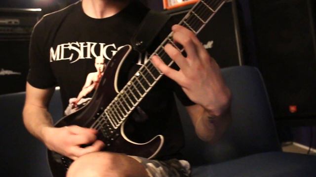 Flamorn - Our Souls Are Born Again guitar playthrough смотреть онлайн