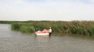 Катамаран с воздушным винтом