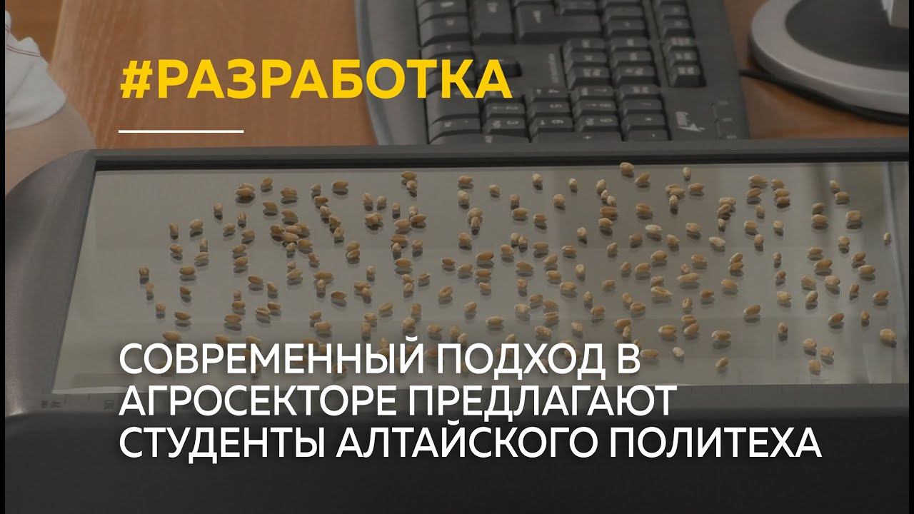 "Сканер для зерна": современный подход в агросекторе предлагают студенты алтайского политеха