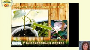 Перец Формировка и пасынкование. КРАТКО, НО ЁМКО!