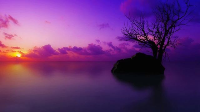 Сердце плачет смотреть онлайн