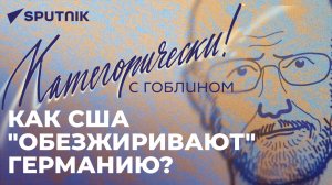 Гоблин о поставках танков и мобилизации на Украине, педофилах из Литвы и сожжении Корана в Швеции