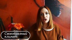 МИНУСЫ ИММИГРАЦИИ В ЧЕХИЮ | ЗАТРАТЫ НА ЖИЗНЬ В ЧЕХИИ | ЕХАТЬ ИЛИ НЕТ?