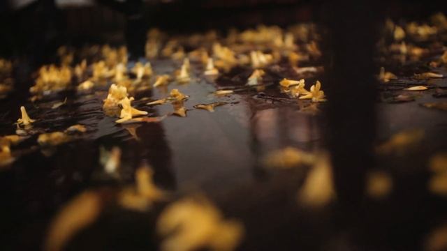 Rain waltz Вальс дождя смотреть онлайн