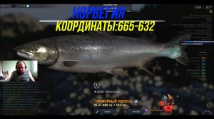 Fisher Online Норвегия Трофейный Лосось  Кооры : 665-632