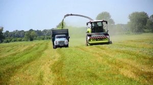 CLAAS JAGUAR 950 - Уборка кукурузы на силос и заготовка сенажа в Украине - Комбайн Клаас Ягуар