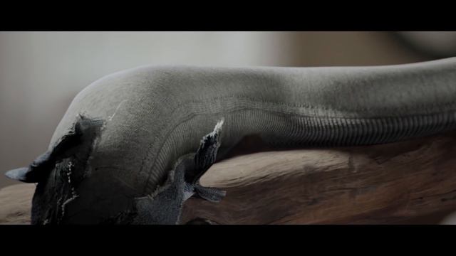 Freddy Push-up леггинсы | Легинсы пуш-ап