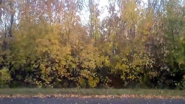 30.09.2018. СНТ "Селена" - Омск, Пос. Чкаловский, Столовая. смотреть онлайн