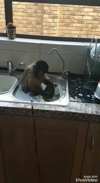 Хозяюшка