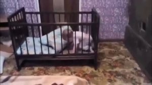 полёт валькирий
