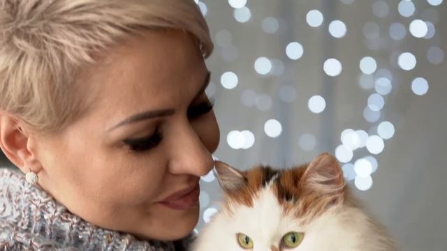 МНЯМС влажные корма и лакомства для кошек