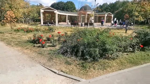 Велопробег ? Велофестиваль на моноколесе в Мск