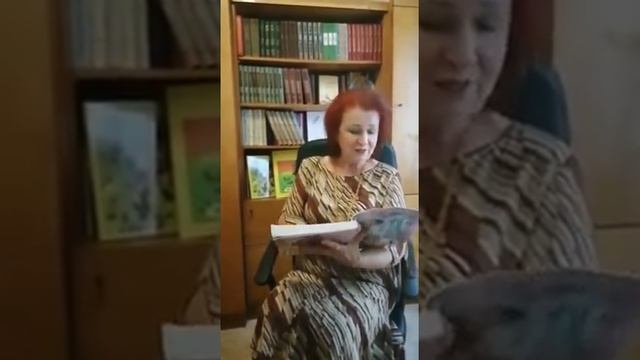 Сказка Л С Степановой Через речку, через мостик смотреть онлайн