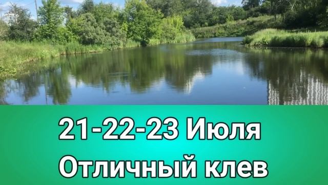 Прогноз Клева рыбы на эту неделю с 18 по 24 Июля Календарь рыбака на июль Календарь клева рыбы 2022