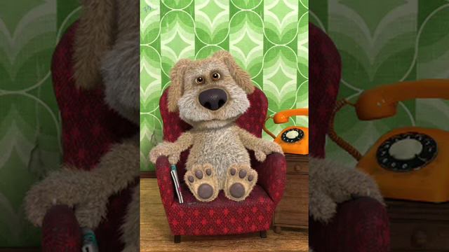 TalkingBenTheDog(53).mp4